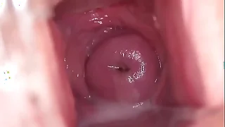 2480 shaved porn videos